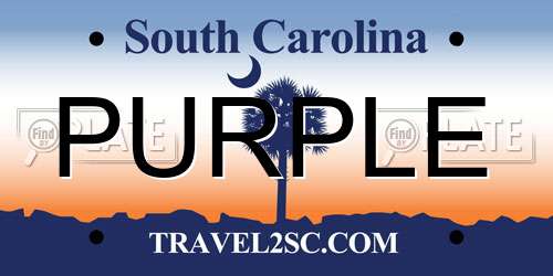 PURPLE South Carolina License Plate