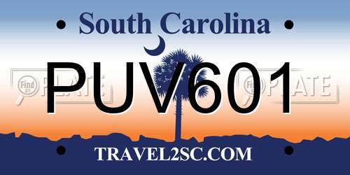 PUV601 South Carolina License Plate