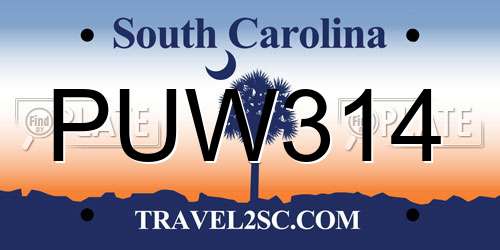 PUW314 South Carolina License Plate