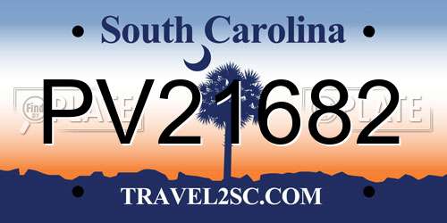 PV21682 South Carolina License Plate
