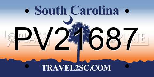 PV21687 South Carolina License Plate
