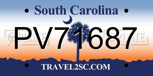 PV71687 South Carolina License Plate
