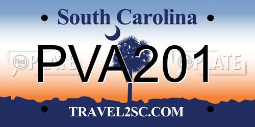 PVA201 South Carolina License Plate