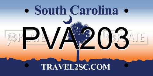 PVA203 South Carolina License Plate