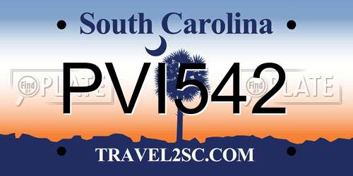 PVI542 South Carolina License Plate