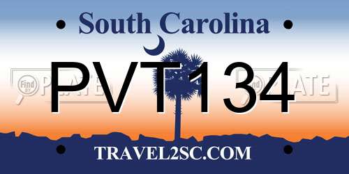 PVT134 South Carolina License Plate
