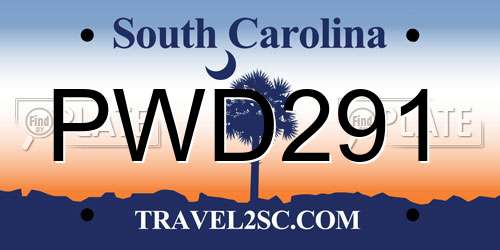 PWD291 South Carolina License Plate