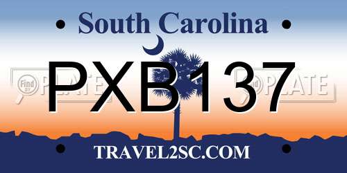 PXB137 South Carolina License Plate