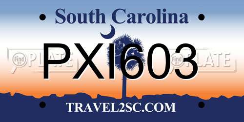 PXI603 South Carolina License Plate