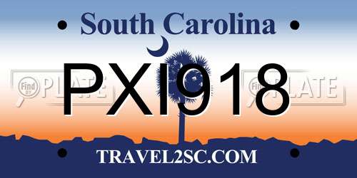 PXI918 South Carolina License Plate