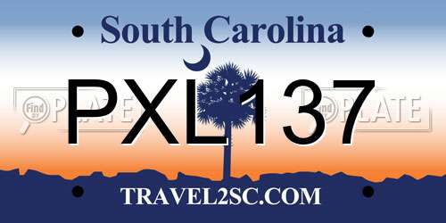 PXL137 South Carolina License Plate