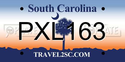 PXL163 South Carolina License Plate