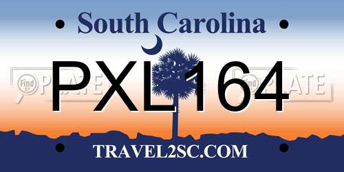 PXL164 South Carolina License Plate
