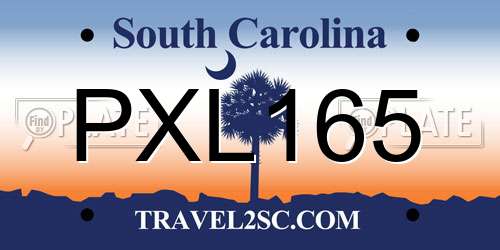 PXL165 South Carolina License Plate
