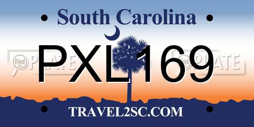 PXL169 South Carolina License Plate