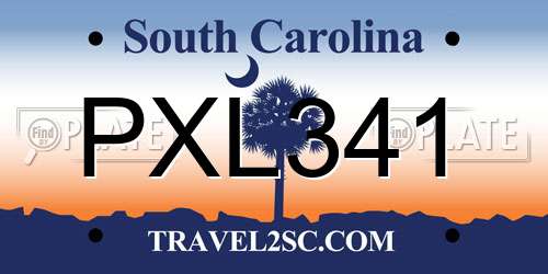 PXL341 South Carolina License Plate
