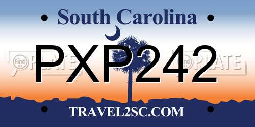 PXP242 South Carolina License Plate