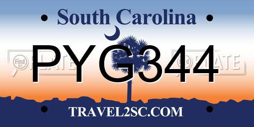 PYG344 South Carolina License Plate