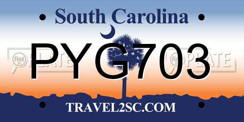 PYG703 South Carolina License Plate