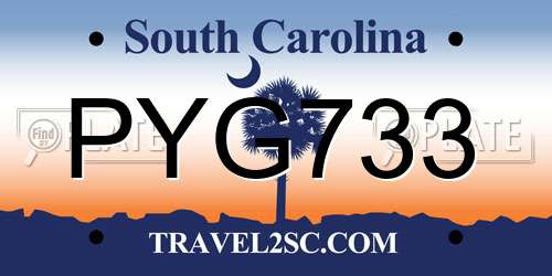 PYG733 South Carolina License Plate