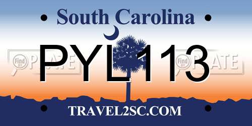 PYL113 South Carolina License Plate