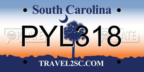 PYL318 South Carolina License Plate