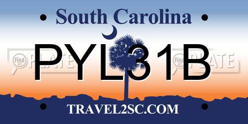 PYL31B South Carolina License Plate
