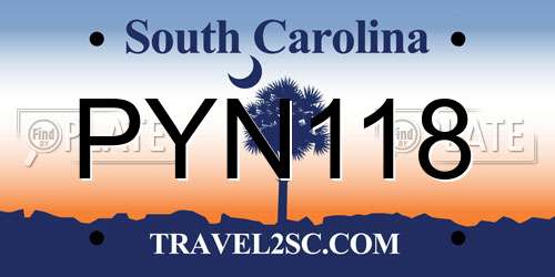 PYN118 South Carolina License Plate