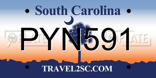PYN591 South Carolina License Plate