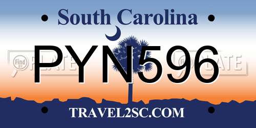 PYN596 South Carolina License Plate