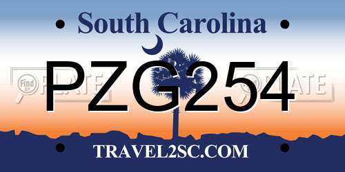 PZG254 South Carolina License Plate