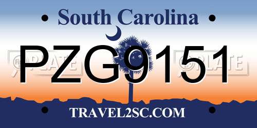 PZG9151 South Carolina License Plate