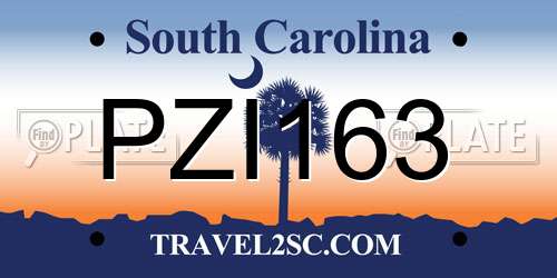 PZI163 South Carolina License Plate