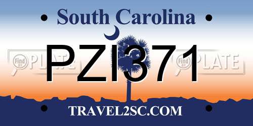 PZI371 South Carolina License Plate
