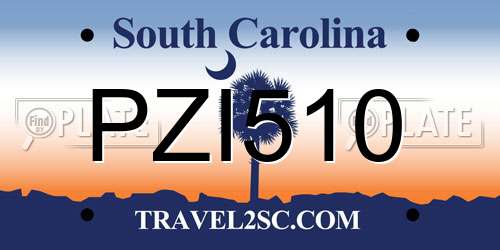 PZI510 South Carolina License Plate