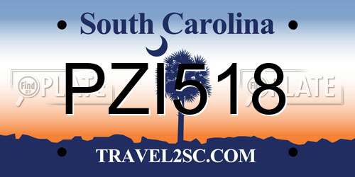 PZI518 South Carolina License Plate