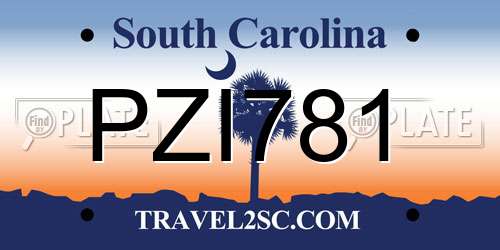 PZI781 South Carolina License Plate