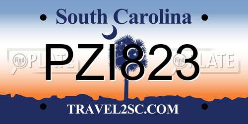 PZI823 South Carolina License Plate