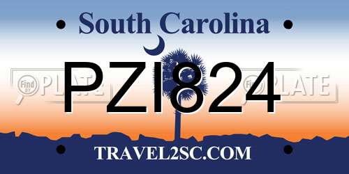 PZI824 South Carolina License Plate