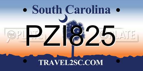 PZI825 South Carolina License Plate