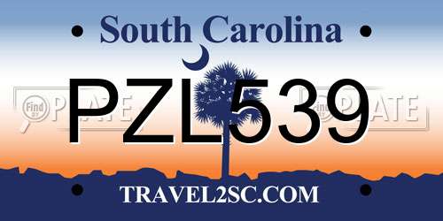 PZL539 South Carolina License Plate