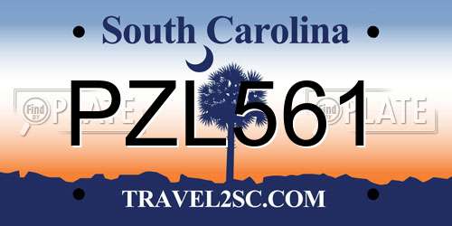 PZL561 South Carolina License Plate
