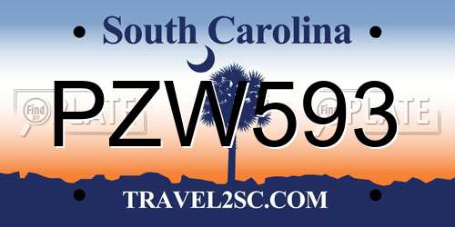 PZW593 South Carolina License Plate