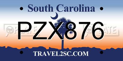PZX876 South Carolina License Plate