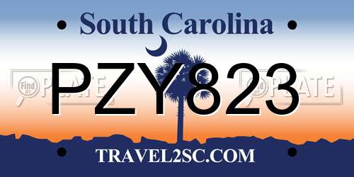 PZY823 South Carolina License Plate
