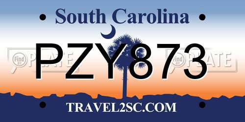 PZY873 South Carolina License Plate