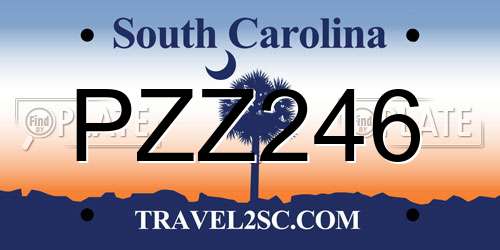 PZZ246 South Carolina License Plate