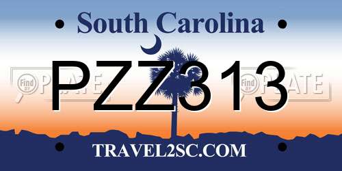 PZZ313 South Carolina License Plate