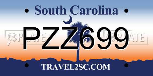 PZZ699 South Carolina License Plate