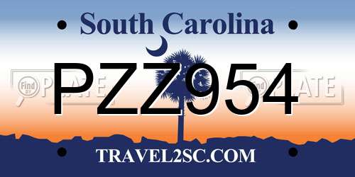 PZZ954 South Carolina License Plate
